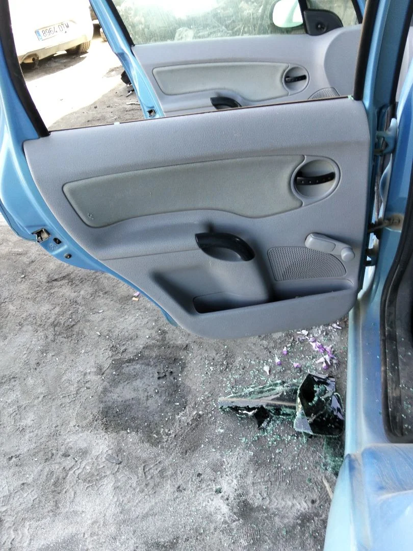 Foto de GUARNECIDO PUERTA TRASERA IZQUIERDA CITROEN C3