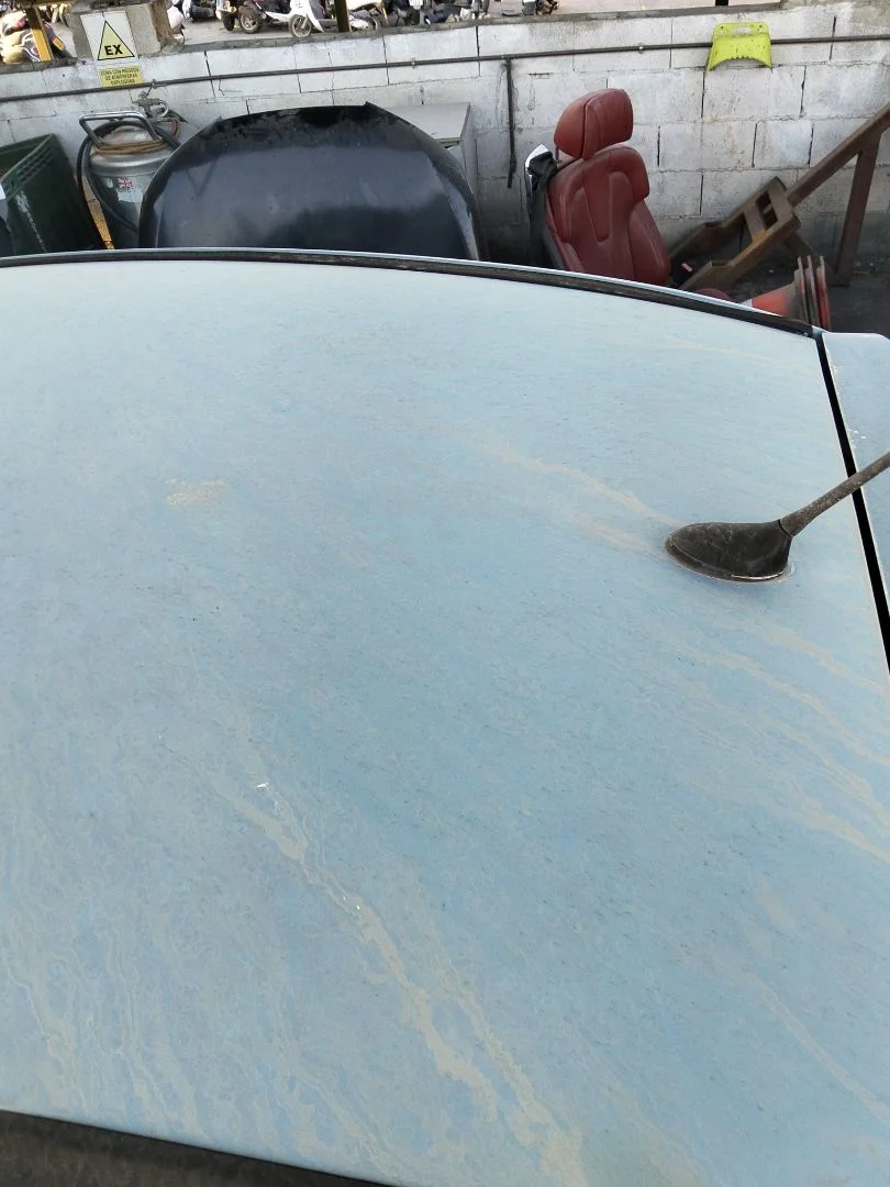 Foto de TECHO CITROEN C3 referencia 8301J9