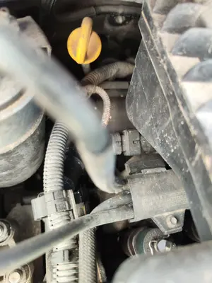 Foto de ALTERNADOR FORD KA (CCU) 1.3 TDCi CAT (75 CV / 55 KW) referencia 1571296