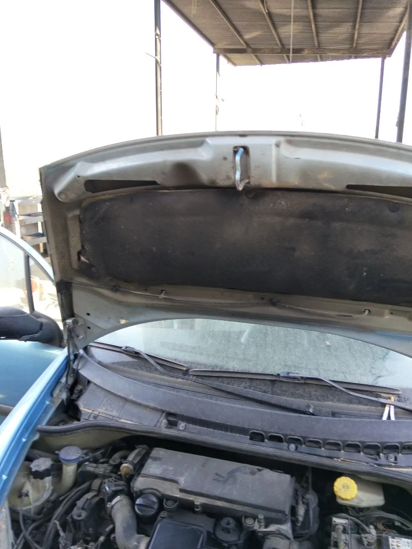 Foto de CAPO CITROEN C3 referencia 7901K6