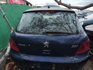 Foto de PORTON TRASERO PEUGEOT 307 (S1)(04.2001) 1.6 16V CAT (109 CV / 80 KW) referencia 8701S5