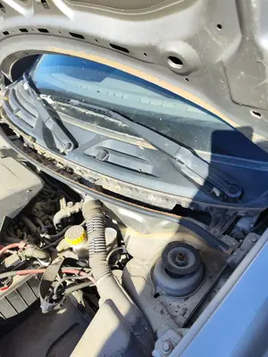 Foto de BRAZO LIMPIA DELANTERO IZQUIERDO FIAT II PANDA (169) 1.2 CAT (60 CV / 44 KW) referencia 0735434447