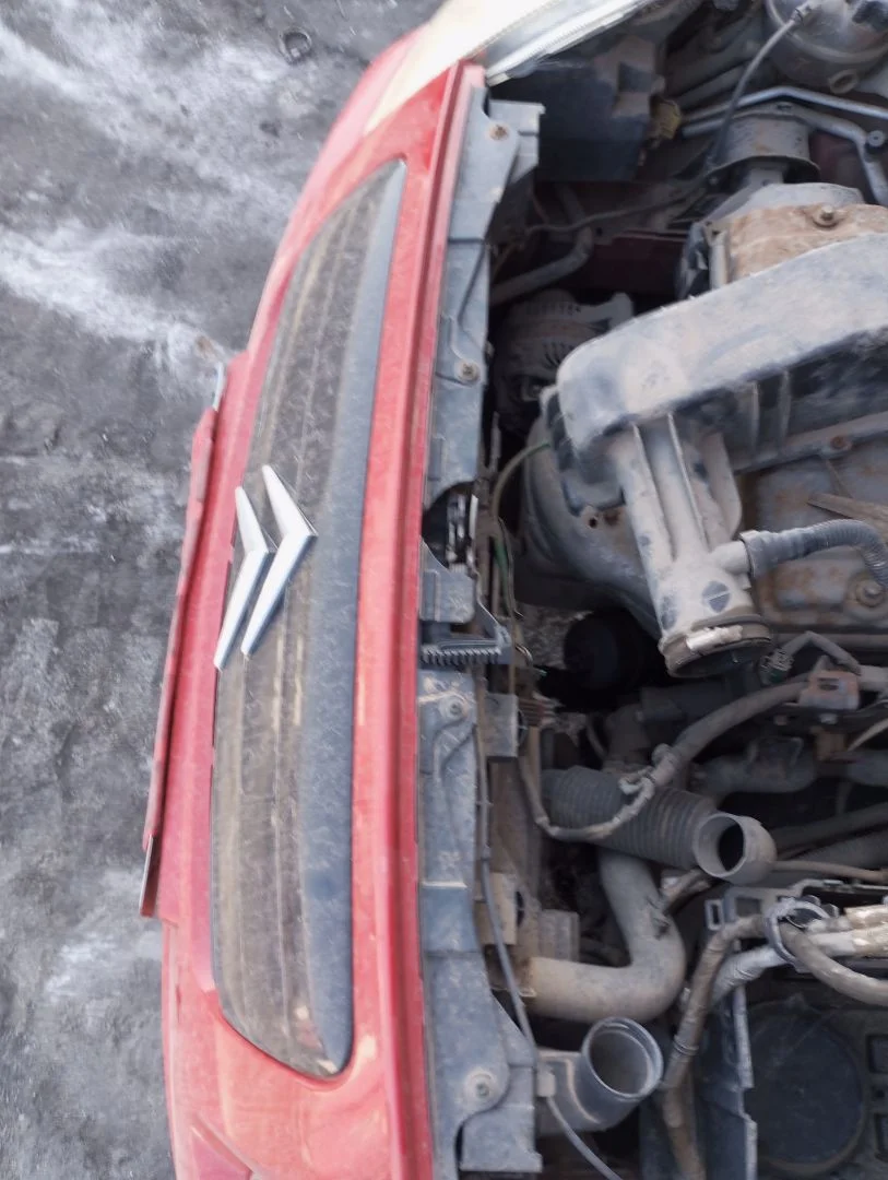 Foto de PANEL FRONTAL CITROEN C2 1.4 (73 CV / 54 KW)