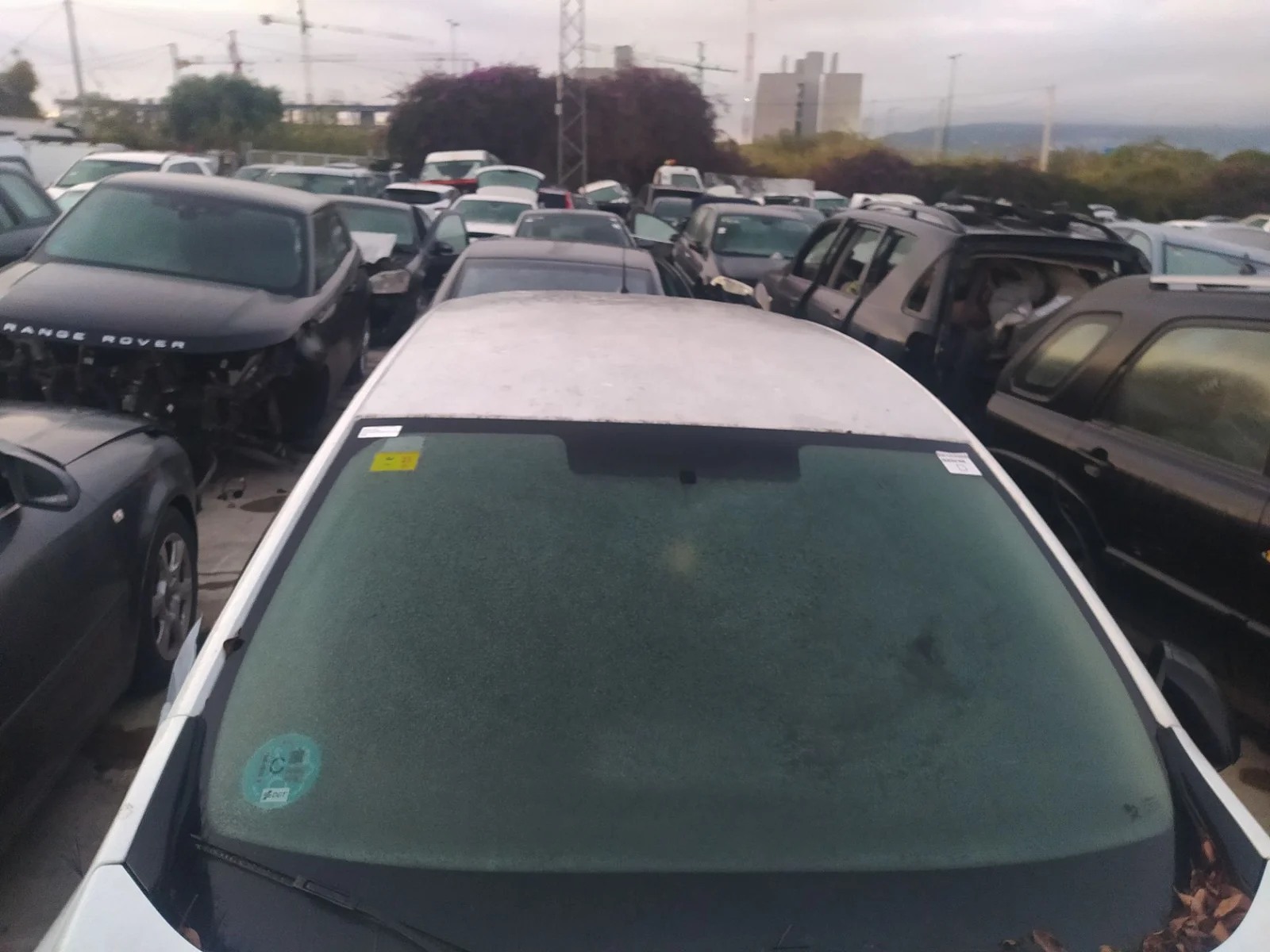 Foto de PARABRISAS RENAULT MEGANE III BERLINA 5P 1.6 16V CAT (101 CV / 74 KW) referencia 727129203R