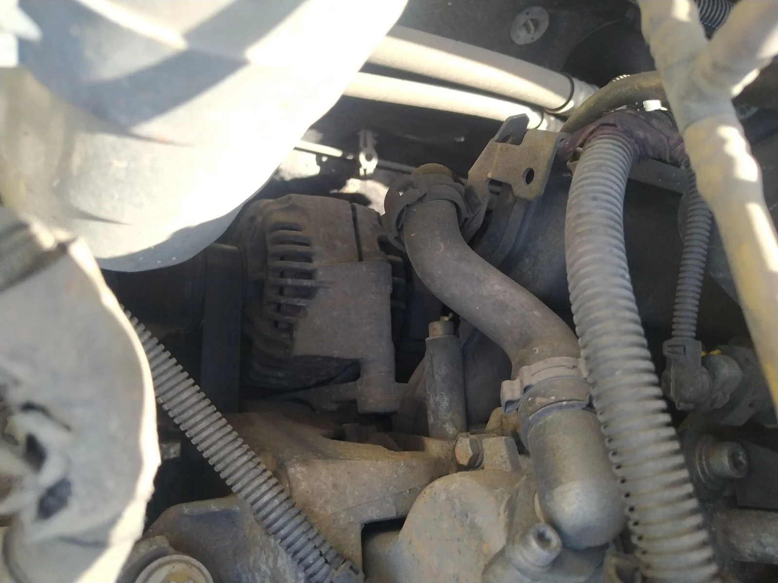 Foto de ALTERNADOR FIAT GRANDE PUNTO (199) 1.3 16V JTD CAT (75 CV / 55 KW) referencia 0052003517