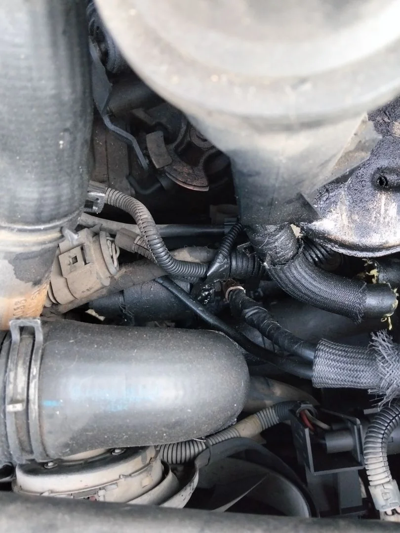 Foto de MOTOR ARRANQUE SEAT IBIZA (6K1) 1.9 TDI (90 CV / 66 KW) referencia 02A911024D
