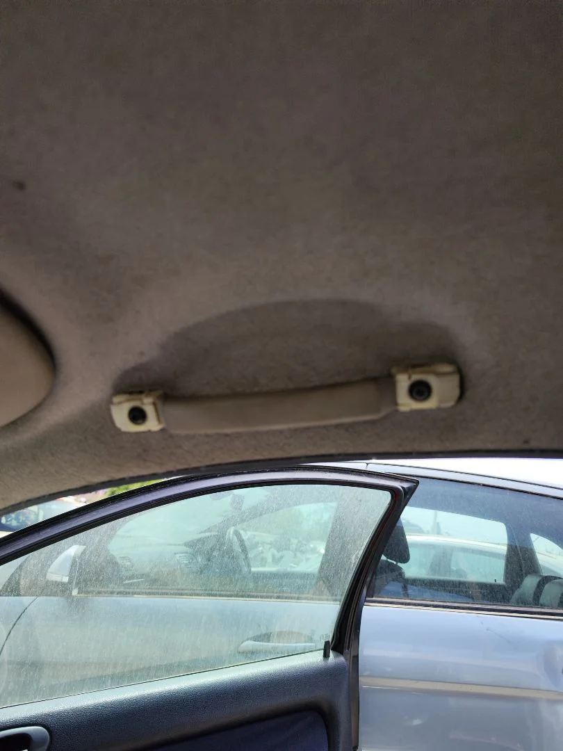Foto de ASIDERO TECHO DELANTERO DERECHO PEUGEOT 206 1.4 (75 CV / 55 KW) referencia 9128J7