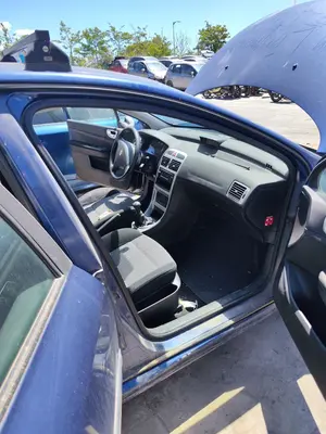 Foto de GOMAS CONTORNO PUERTA PEUGEOT 307 BERLINA (S2) 1.4 16V CAT (KFU / ET3J4) (88 CV / 65 KW)