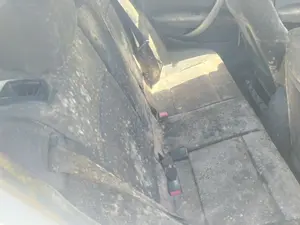 Foto de CINTURON SEGURIDAD TRASERO IZQUIERDO BMW SERIE 1 BERLINA (E81/E87) 2.0 16V Diesel CAT (122 CV / 90 KW)