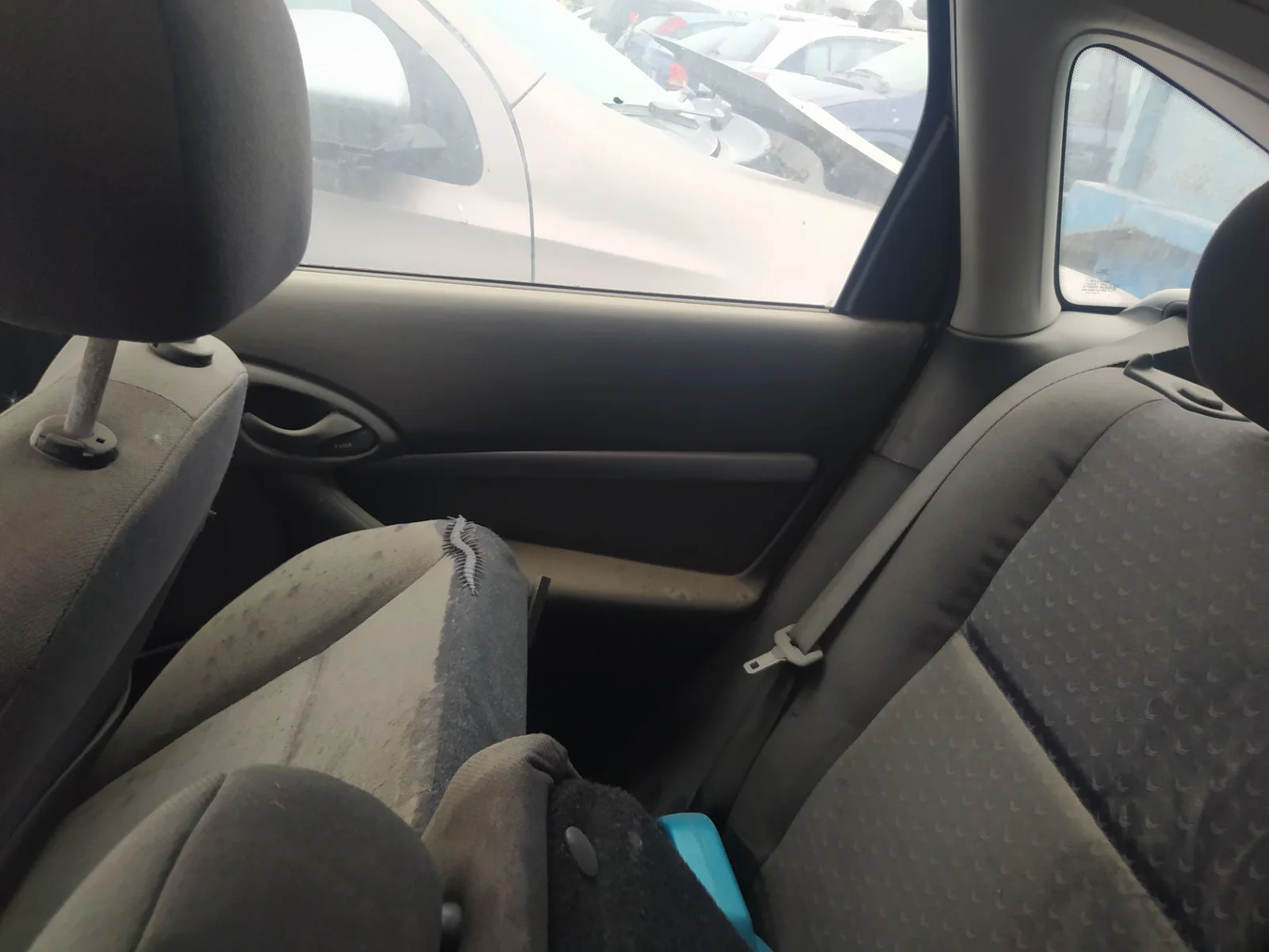 Foto de CINTURON SEGURIDAD TRASERO IZQUIERDO FORD FOCUS BERLINA (CAK) 1.8 TDDI Turbodiesel CAT (90 CV / 66 KW)