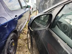 Foto de RETROVISOR IZQUIERDO VOLKSWAGEN GOLF PLUS V (5M1) 1.9 TDI (105 CV / 77 KW)
