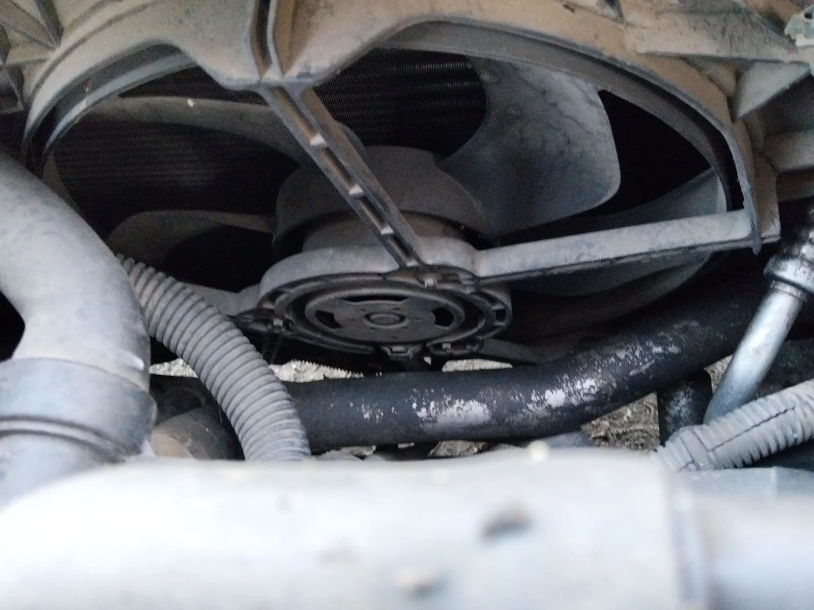 Foto de ELECTROVENTILADOR RENAULT LAGUNA II (BG0) 1.9 dCi Diesel CAT (101 CV / 74 KW) referencia 7701067591