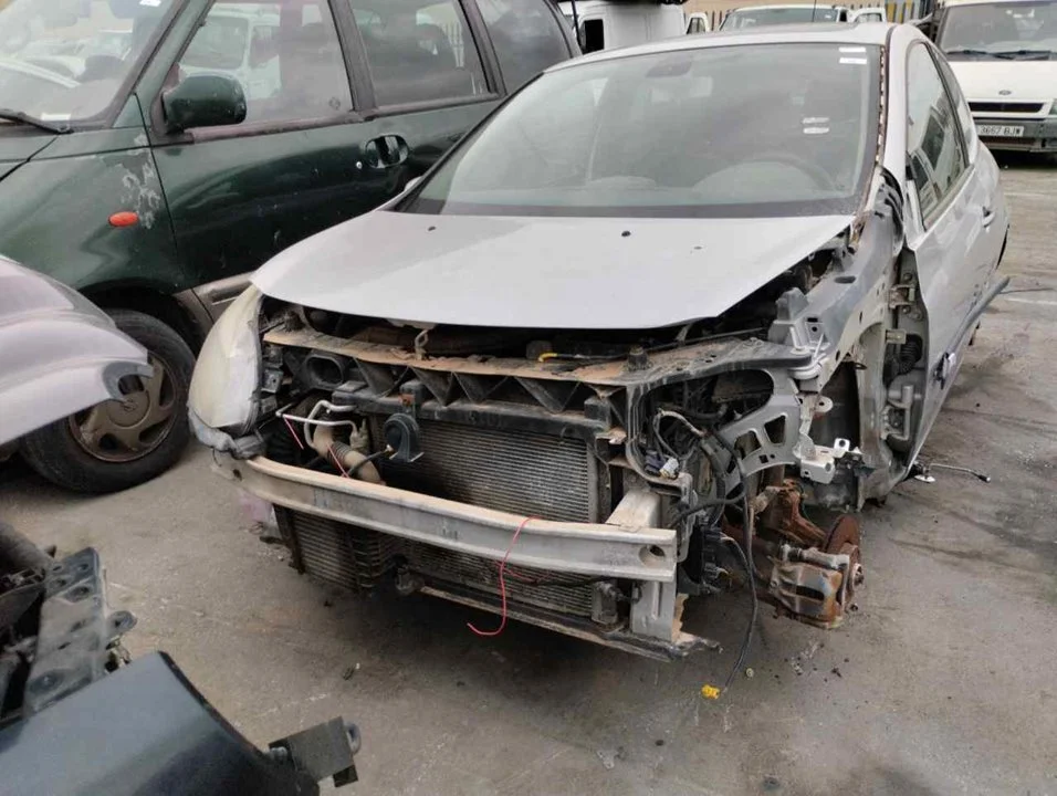 RENAULT CLIO III