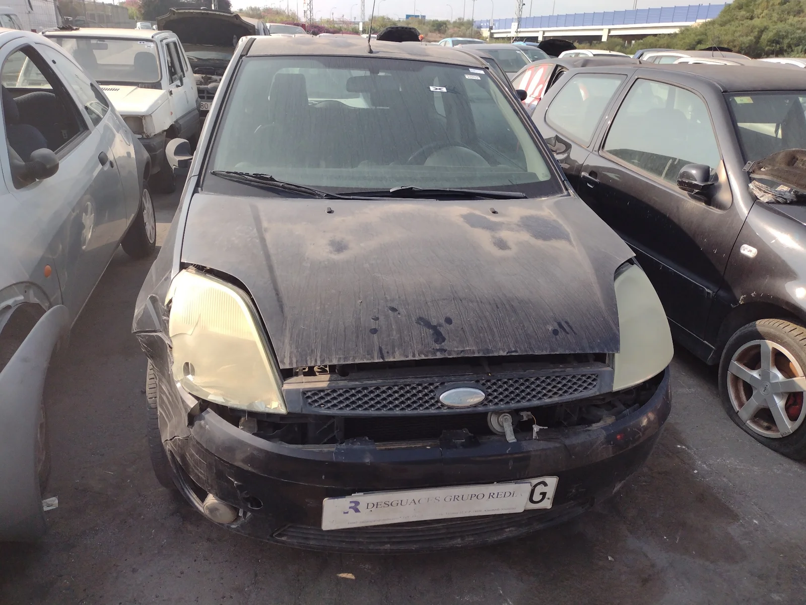 FORD FIESTA (CBK)