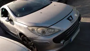 PEUGEOT 307 CC CABRIO-COUPÉ (S2) foto 3
