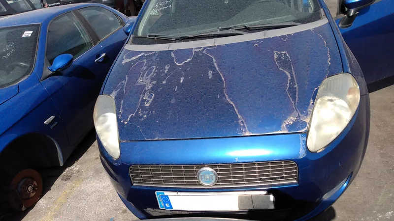 FIAT GRANDE PUNTO (199)