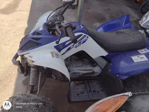 YAMAHA RAPTOR foto 3
