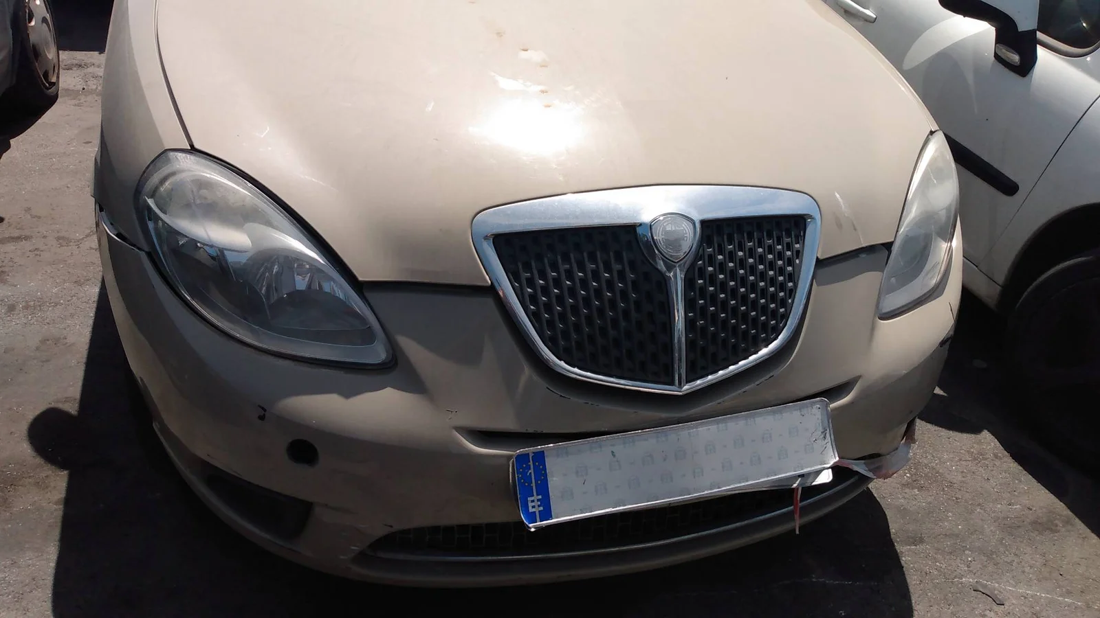 LANCIA YPSILON (101)