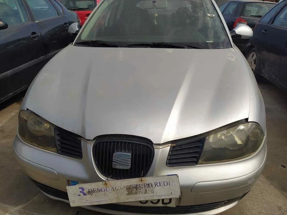 SEAT IBIZA (6L1)