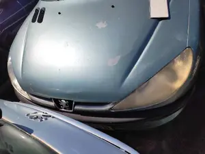 PEUGEOT 206 foto 1