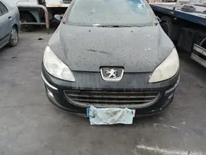 PEUGEOT 407 foto 1