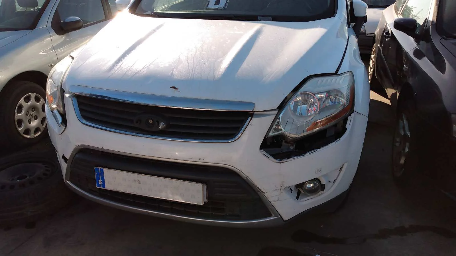 FORD KUGA (CBV)