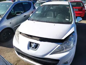 PEUGEOT 207 foto 1