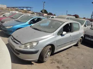 PEUGEOT 307 (S1)(04.2001) foto 1