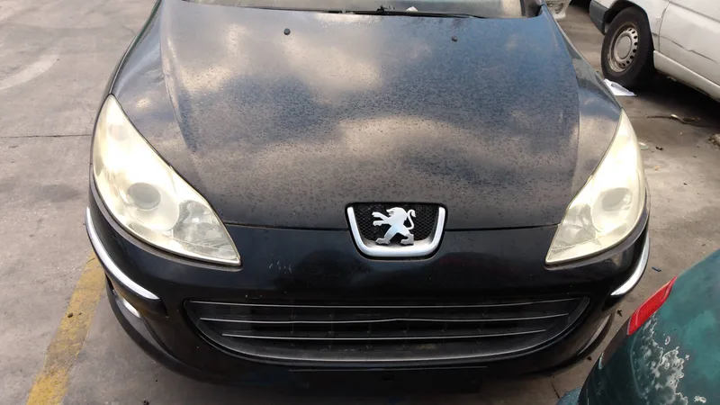 PEUGEOT 407