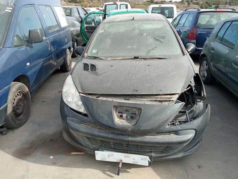 PEUGEOT 206 +