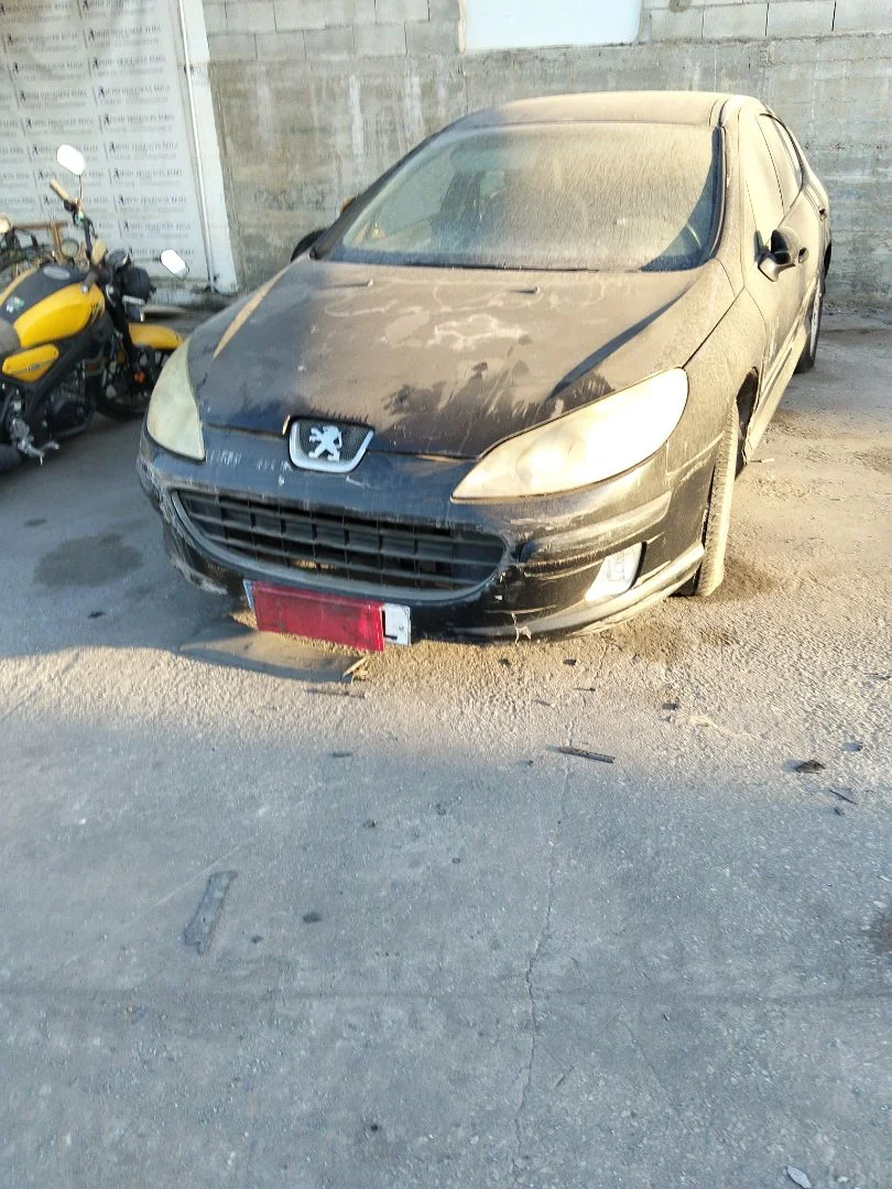 PEUGEOT 407
