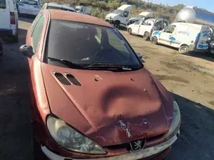 PEUGEOT 206 foto 1