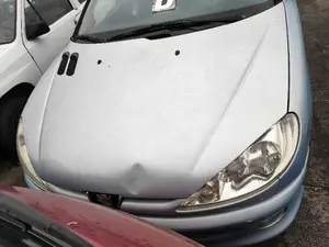 PEUGEOT 206 foto 1