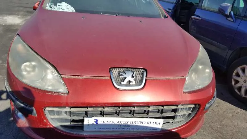 PEUGEOT 407