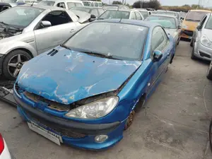 PEUGEOT 206 CC CABRIO-COUPÉ foto 1