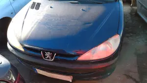 PEUGEOT 206 foto 1