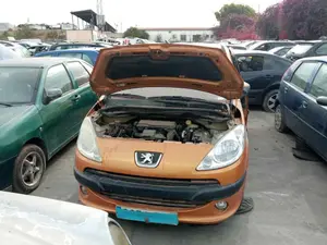 PEUGEOT 1007 foto 1