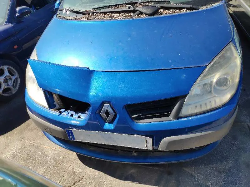 RENAULT SCENIC II (JM)