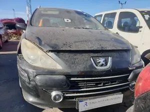 PEUGEOT 307 BREAK / SW (S1)(04.2002) foto 1
