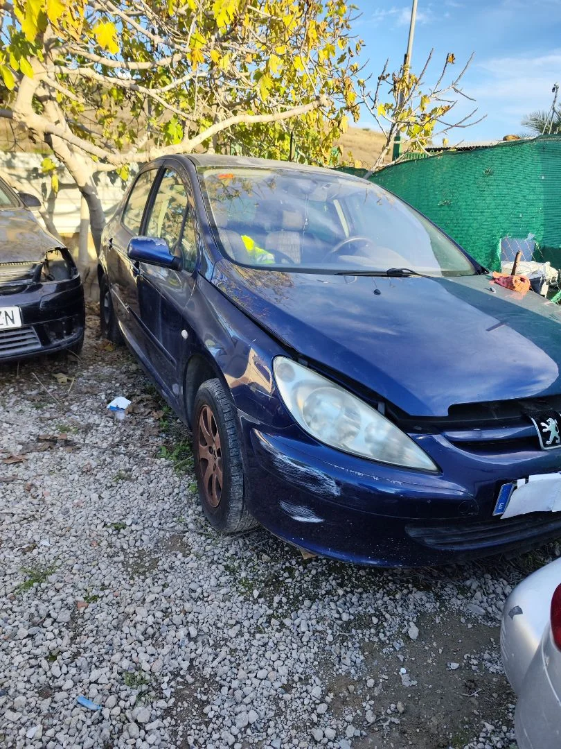 PEUGEOT 307 (S1)(04.2001)