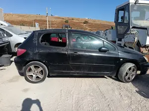 PEUGEOT 307 (S1)(04.2001) foto 1