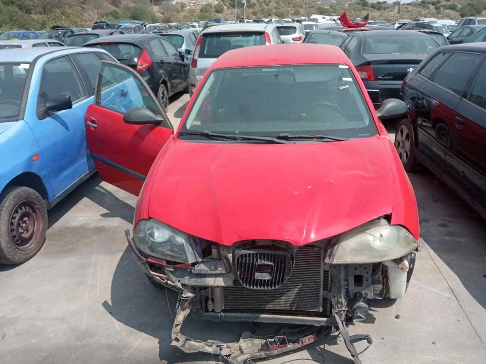 SEAT IBIZA (6L1)