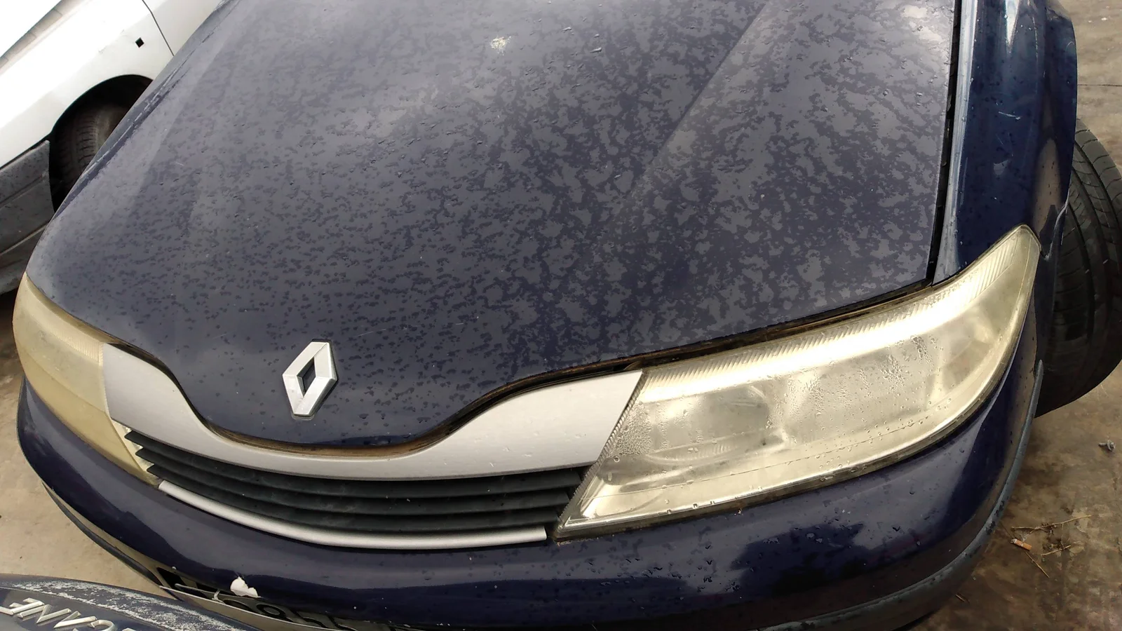 RENAULT LAGUNA II (BG0)